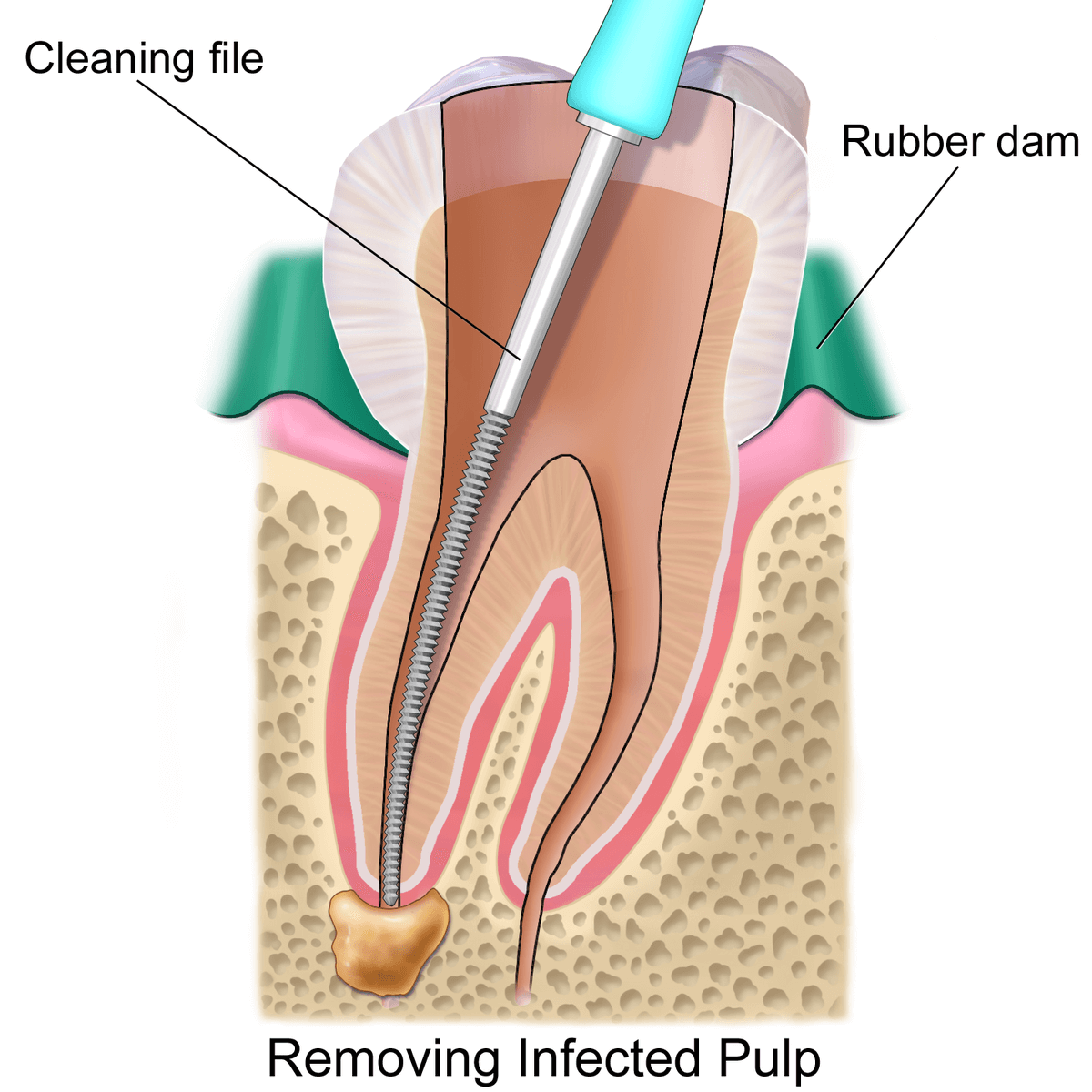 Little Smile Dental Clinic Ramanattukara